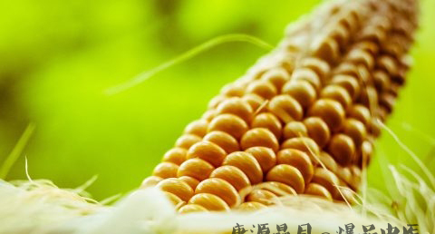 谷雨节气的由来