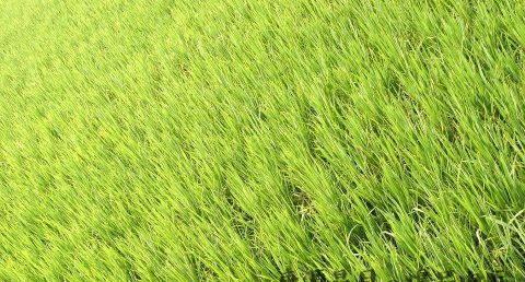 闰月与天气有关吗