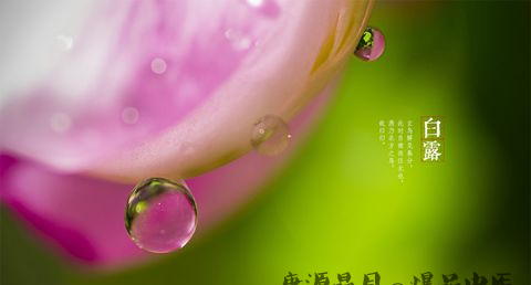 处暑到白露如何养生