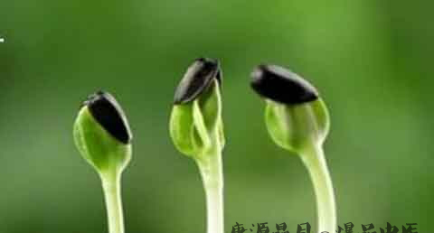 闰六月出生的孩子好不好