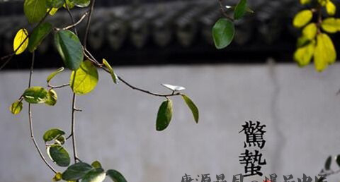惊蛰的特点