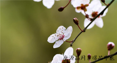 春天惊蛰的特点