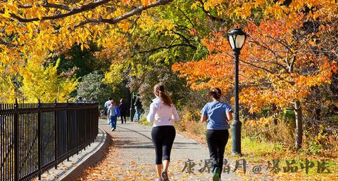 白露怎么养生