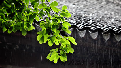 什么是梅雨 梅雨季节是什么意思