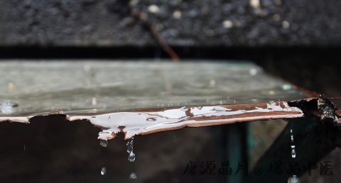 雨水节气养生三要素