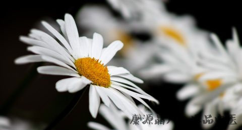 小暑节气代表什么