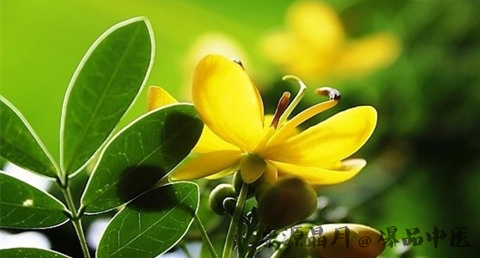 北京清明节吃什么