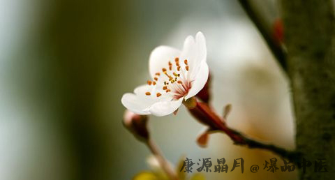 今年惊蛰是哪天