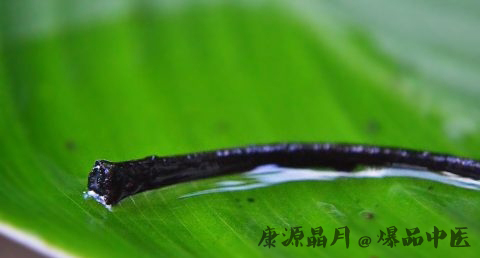 雨水节气温是多少