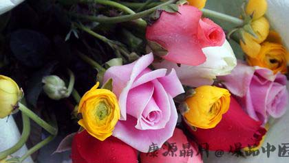 父亲节以送什么花为佳