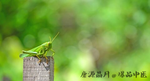 二月二龙抬头的由来