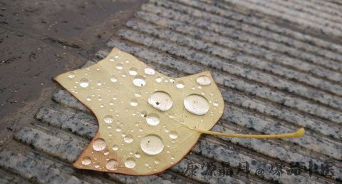 雨水节气起居养生注意事项