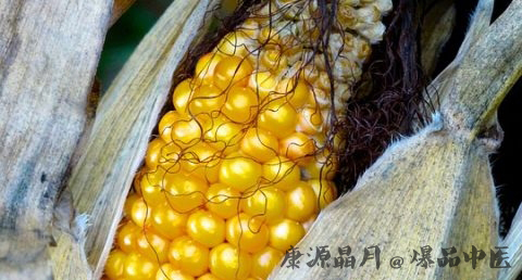 谷雨节气的来历