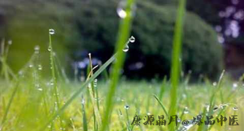 白露如何养生