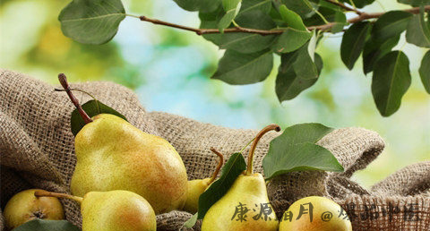 惊蛰吃梨的原因