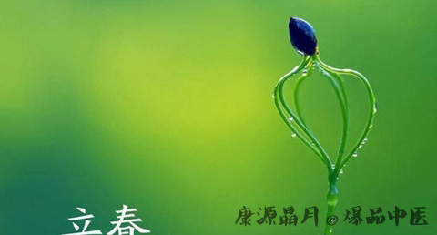 立春是什么意思