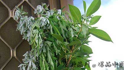 端午节养生要做8件事