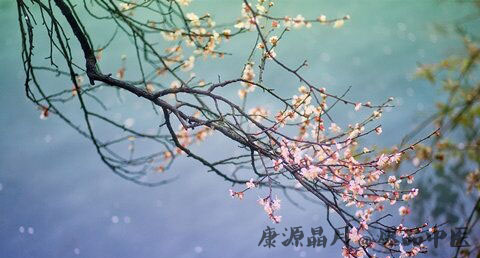 寒食节是为了纪念谁
