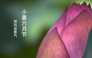 小暑养生 饮食忌过量