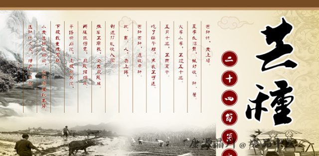 芒种时节将来到 养生注重“4防”