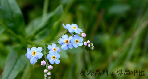 清明节的来历