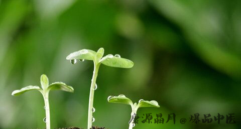 寒食节是为了纪念谁