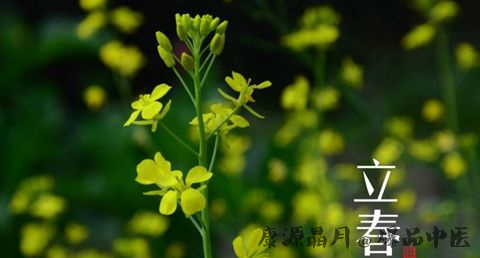 湖北立春的注意事项