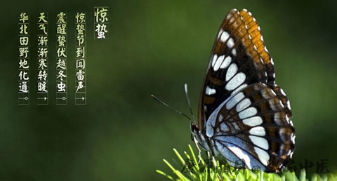 惊蛰吃梨的原因