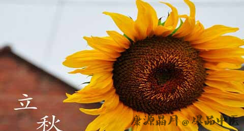 立秋喝什么汤好