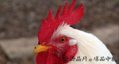 本命年红绳带哪只手