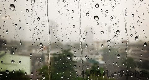 谷雨节气什么意思