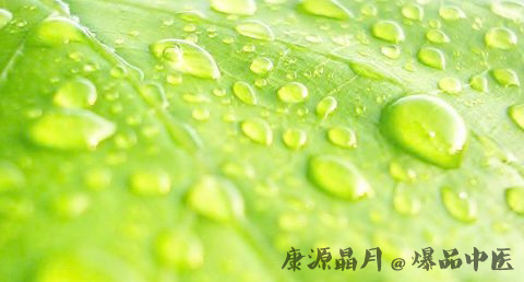 雨水节气养生保健知识