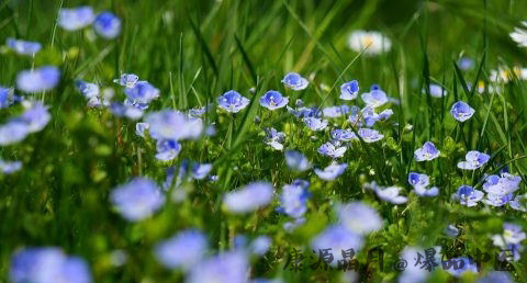 清明节是几月几号
