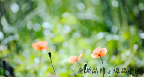 小暑是几月几日星期几