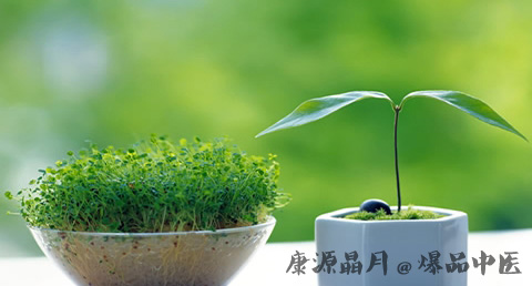 2017闰六月封建说法
