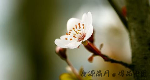 惊蛰的风俗