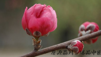 春分时节如何养生