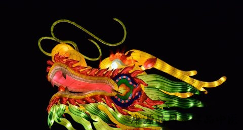 赏花灯有什么用处