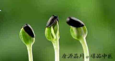 闰月是多久一次