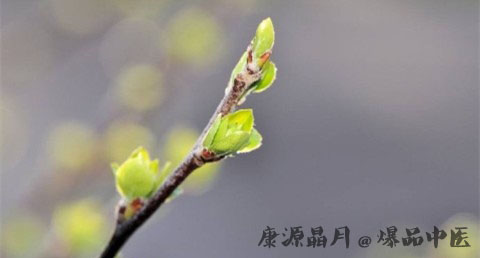 郑州立春的习俗