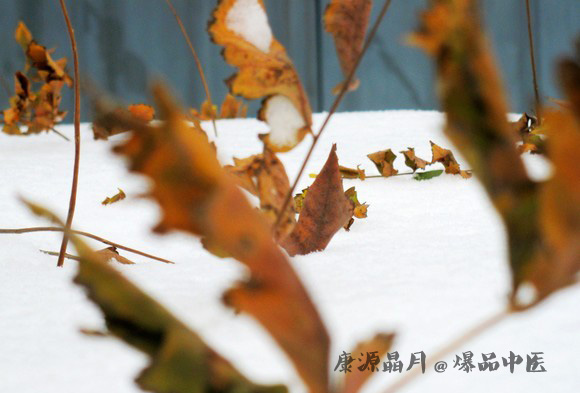 大雪节气养生宜适度