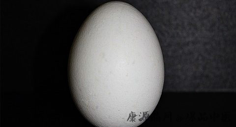 春分竖蛋是什么原理