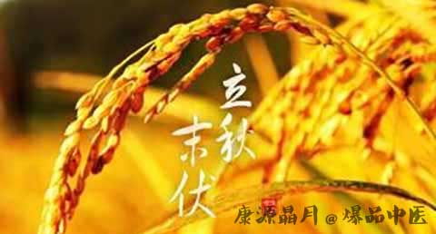 末伏忌什么