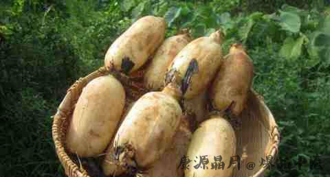 立冬后生宝宝好吗