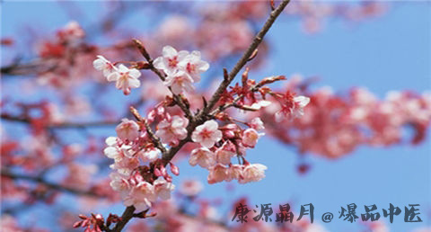 闰月怎么算