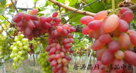 处暑吃什么蔬菜好