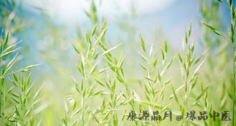 雨水节气有什么食材