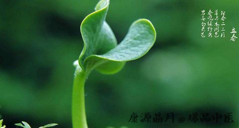 新疆立春的注意事项