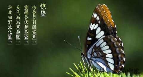 惊蛰的特点