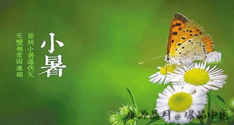 节气小暑是什么意思